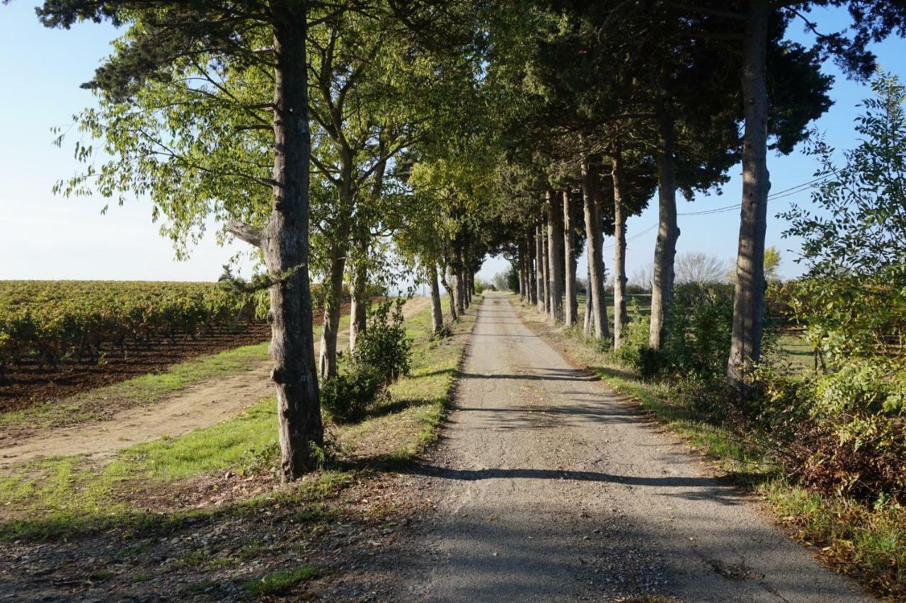 Le Clos Des Troubadours Pennautier Экстерьер фото